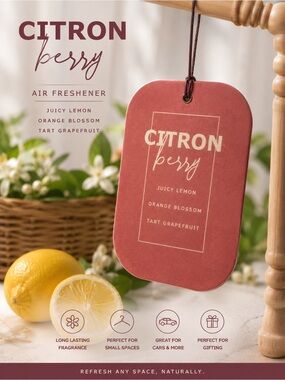Citron berry air freshener Comes in a pack of 12 with the display